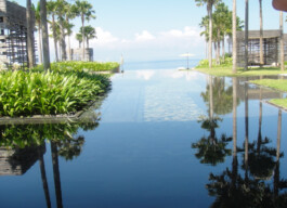 diagana-spa-design-portrait-infinity-pool-and-palms